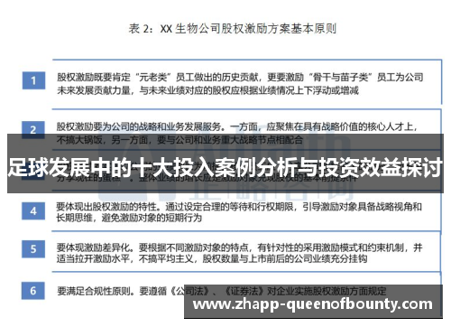 足球发展中的十大投入案例分析与投资效益探讨