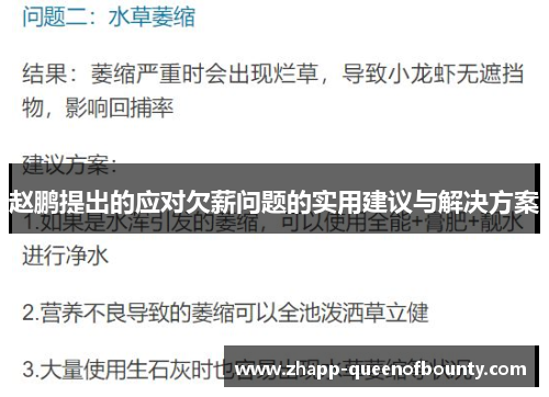赵鹏提出的应对欠薪问题的实用建议与解决方案