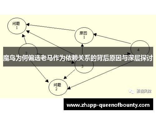 魔鸟为何偏选老马作为依赖关系的背后原因与深层探讨